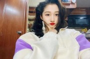 印尼巴士模拟器国产车辆模组 